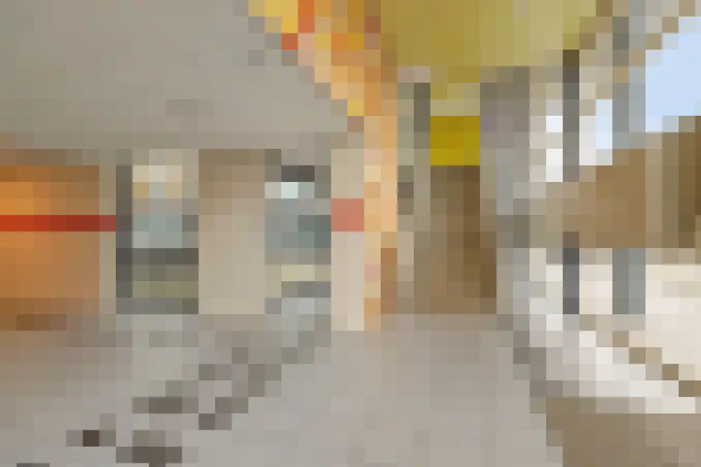 Venusstraat 366 Alphen aan den Rijn thumbnail 27