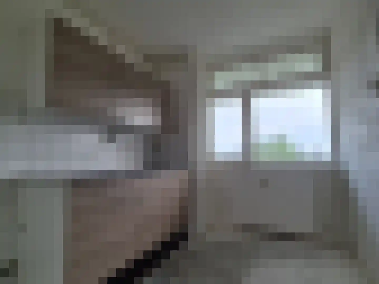 Venusstraat 376 Alphen aan den Rijn thumbnail 8