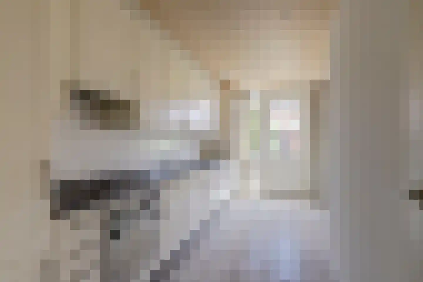 Venusstraat 5 Dongen thumbnail 16