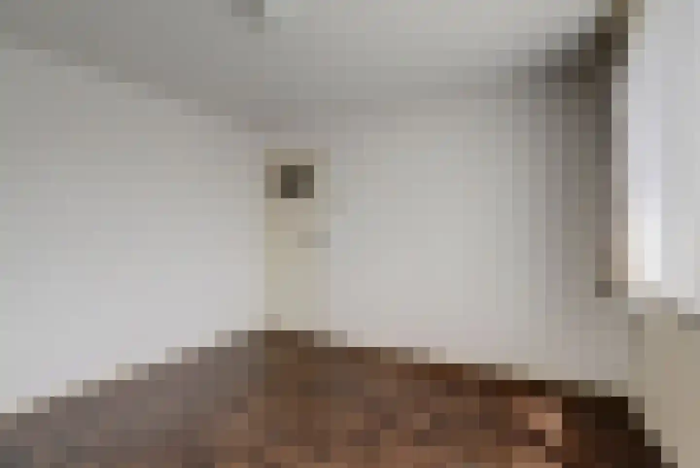 Venusstraat 5 Dongen thumbnail 22