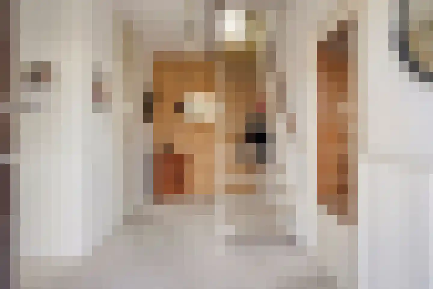 Venusstraat 5 Emmeloord thumbnail 14