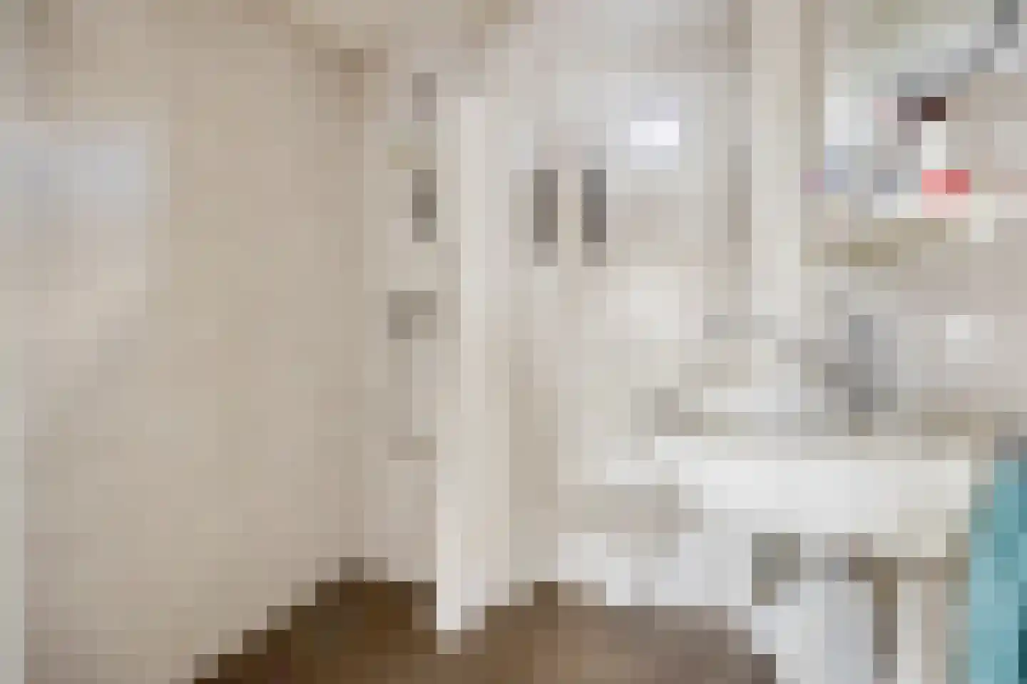 Venusstraat 5 Emmeloord thumbnail 20