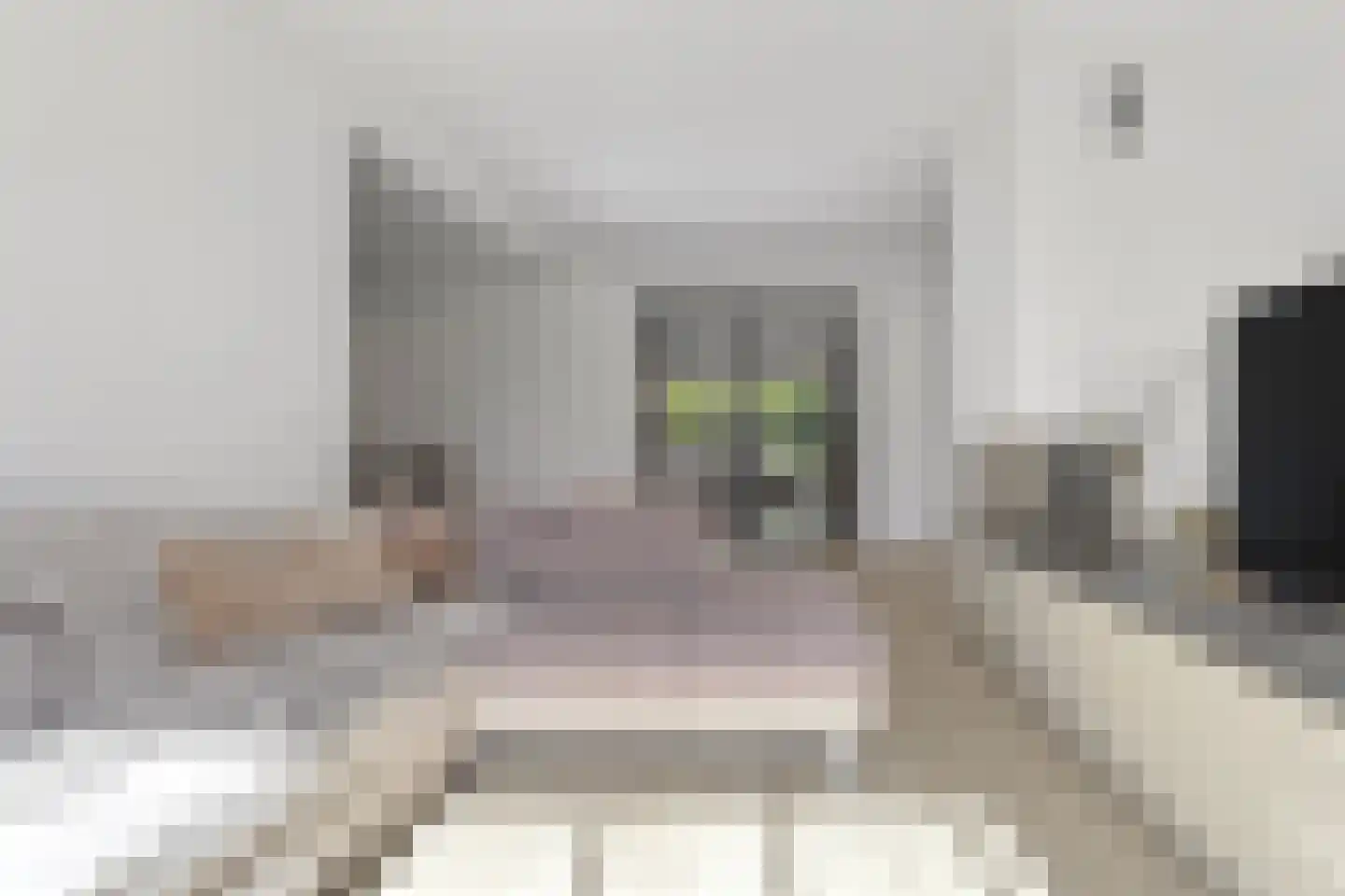 Venusstraat 5 Geleen thumbnail 9