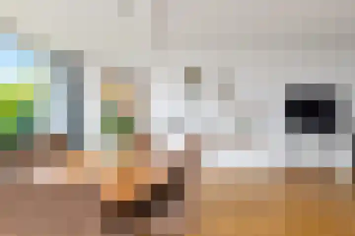 Venusstraat 5 Oudorp thumbnail 13