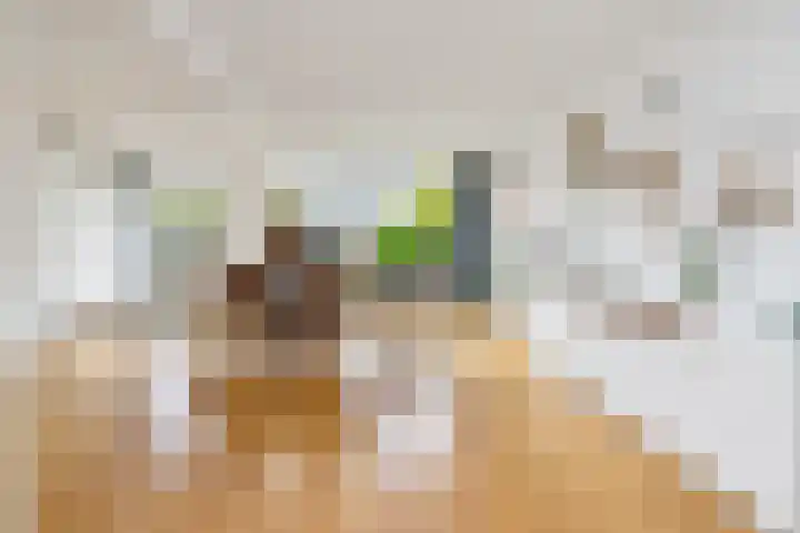 Venusstraat 5 Oudorp thumbnail 14