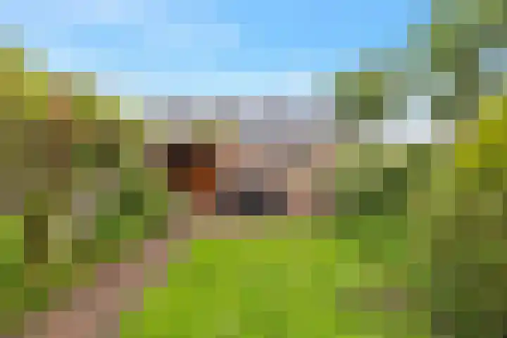 Venusstraat 5 Oudorp thumbnail 42
