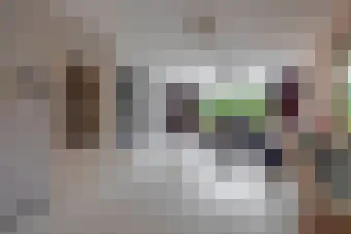 Venusstraat 59 Hardinxveld-Giessendam thumbnail 4