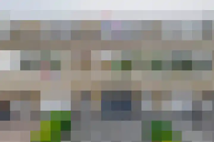 Venusstraat 59 Hardinxveld-Giessendam thumbnail 5