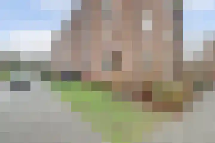 Venusstraat 6 Nijmegen thumbnail 29