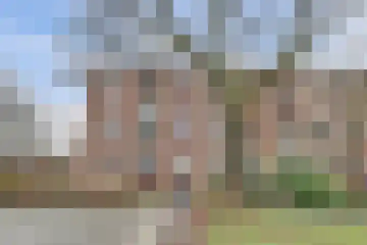 Venusstraat 6 Nijmegen thumbnail 35