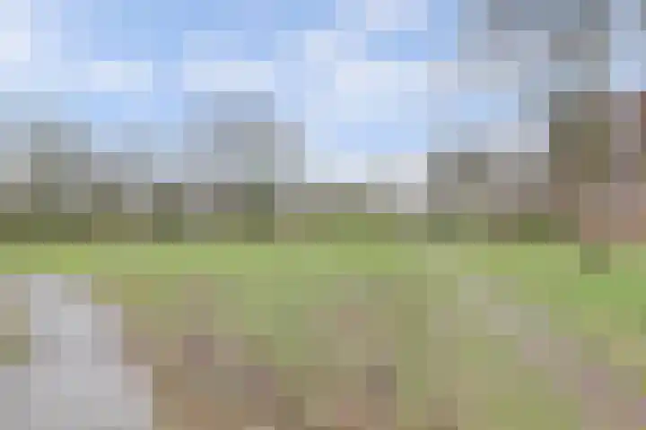 Venusstraat 6 Nijmegen thumbnail 36