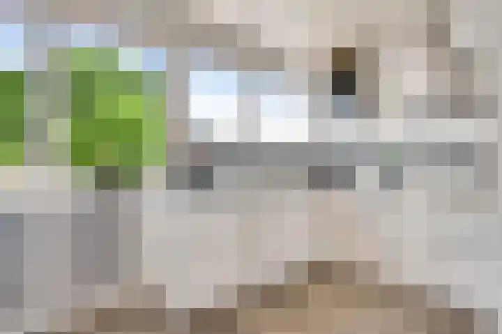 Venusstraat 6 Roermond thumbnail 12
