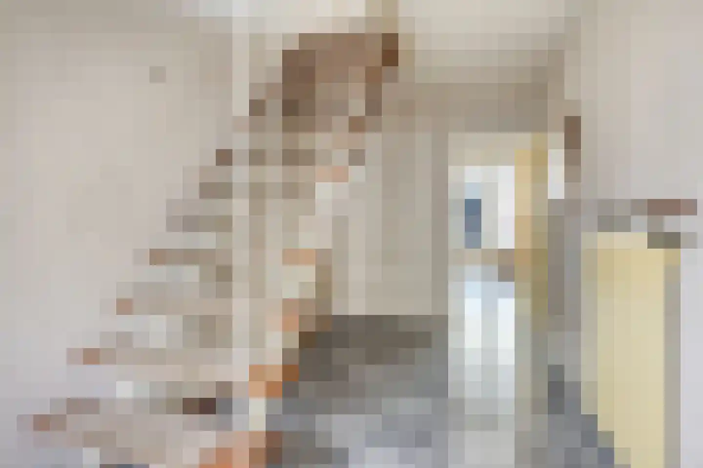 Venusstraat 62 Roermond thumbnail 9