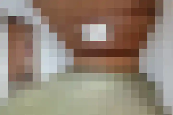 Venusstraat 8 Aalsmeer thumbnail 16