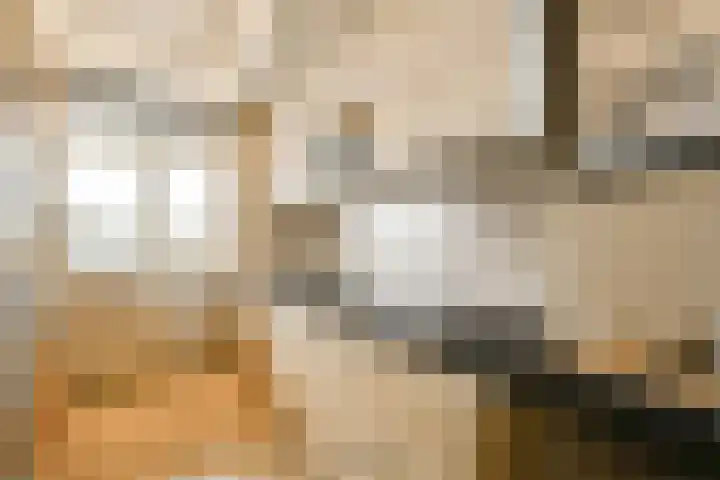 Venusstraat 92 Alphen aan den Rijn thumbnail 10