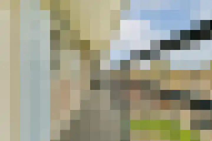 Venusstraat 92 Alphen aan den Rijn thumbnail 25