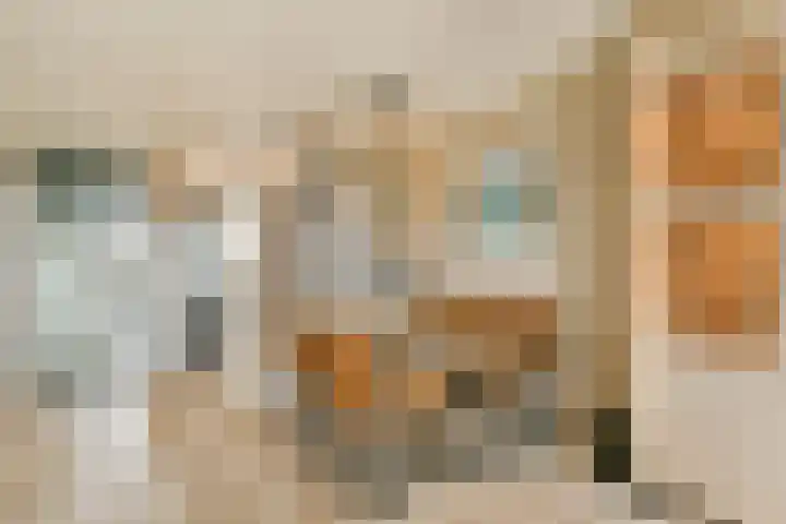 Venusstraat 92 Alphen aan den Rijn thumbnail 8