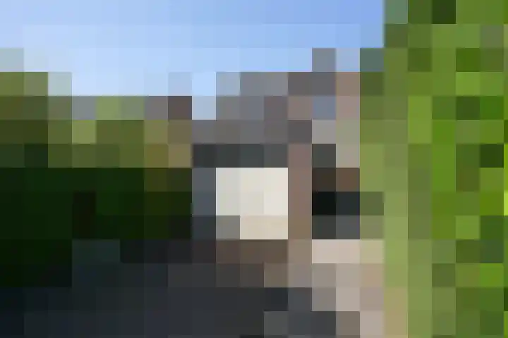 Venweg 21 Brunssum thumbnail 20
