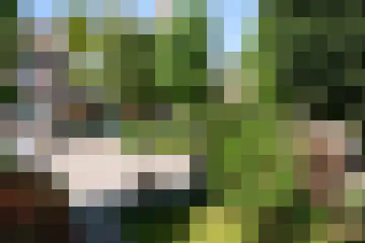 Venweg 21 Brunssum thumbnail 22