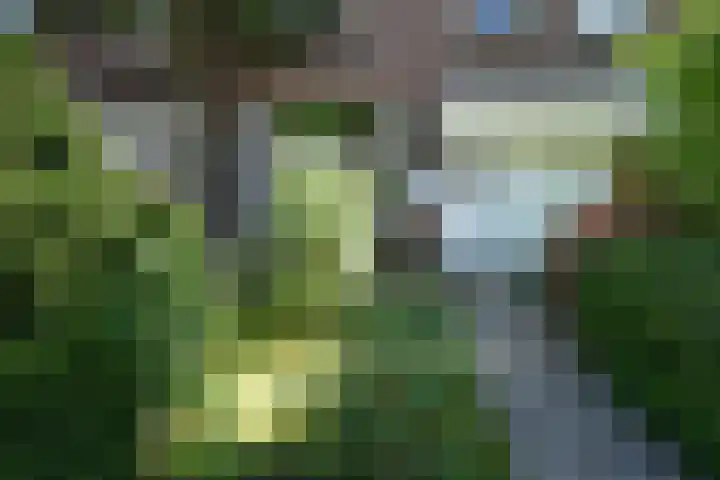 Venweg 21 Brunssum thumbnail 23