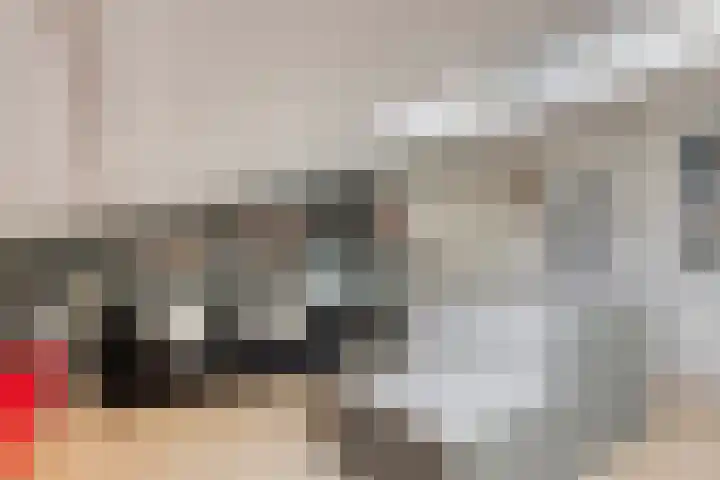 Vera Bondamtuin 19 Heerhugowaard thumbnail 30