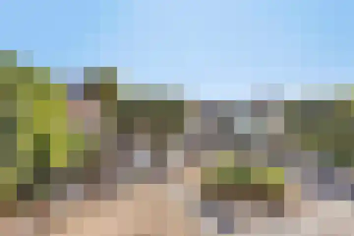 Vera Bondamtuin 19 Heerhugowaard thumbnail 33