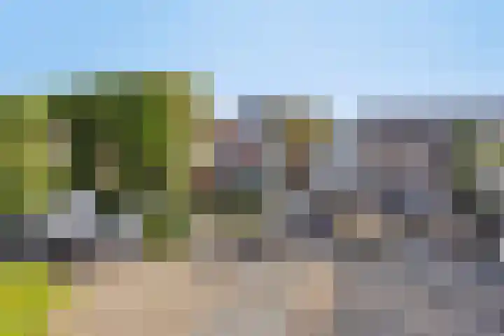 Vera Bondamtuin 19 Heerhugowaard thumbnail 36