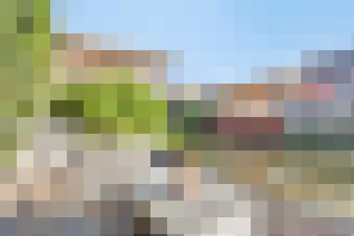Vera Bondamtuin 19 Heerhugowaard thumbnail 38