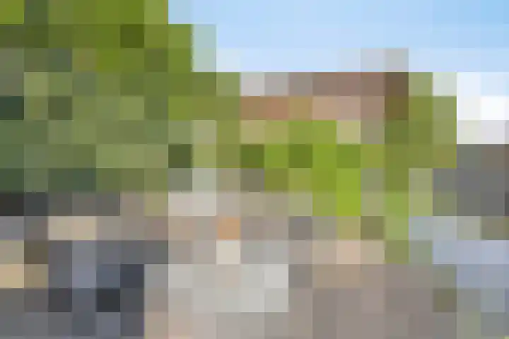 Vera Bondamtuin 19 Heerhugowaard thumbnail 40