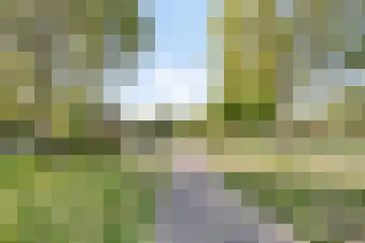Vera Bondamtuin 19 Heerhugowaard thumbnail 43