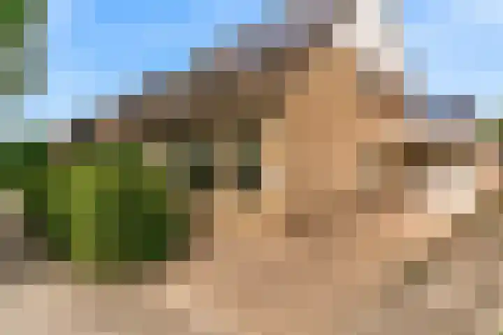 Veranda 57 Hoorn thumbnail 4