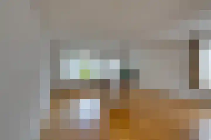 Veranda 74 Hoorn thumbnail 11