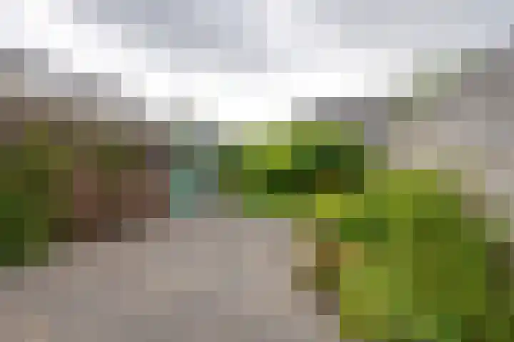 Veranda 74 Hoorn thumbnail 20