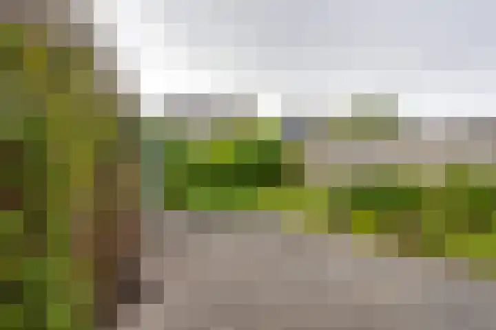 Veranda 74 Hoorn thumbnail 21