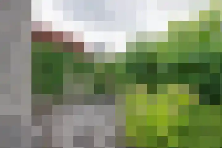 Veranda 74 Hoorn thumbnail 22