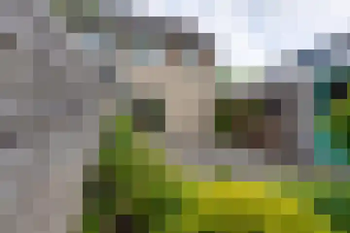 Veranda 74 Hoorn thumbnail 25