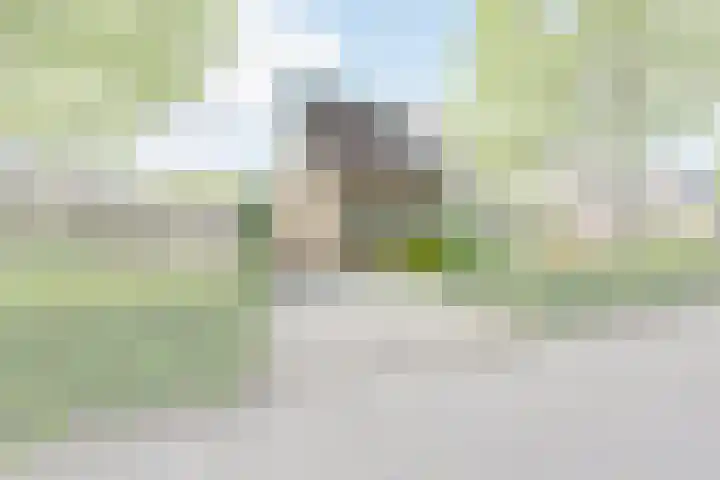 Veranda 74 Hoorn thumbnail 4