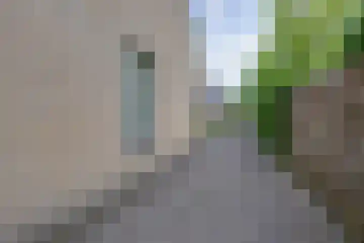 Veranda 74 Hoorn thumbnail 7