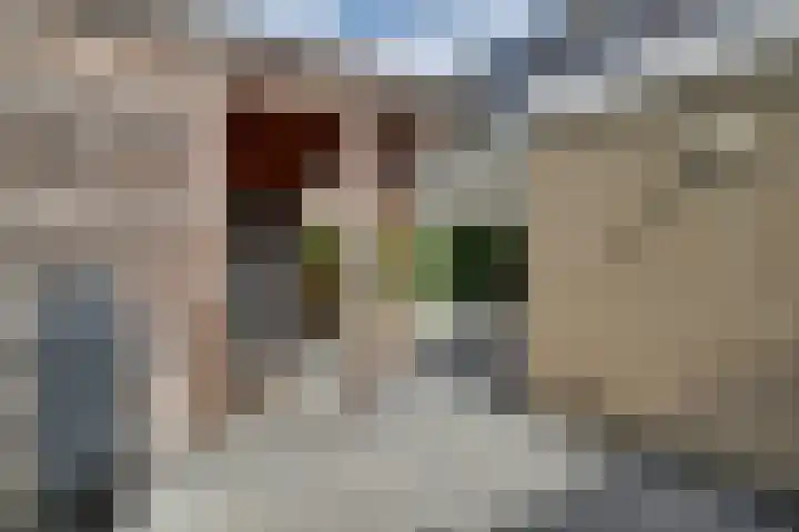 Veranda 78 Hoorn thumbnail 21
