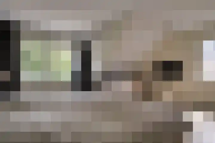 Veranda 78 Hoorn thumbnail 29