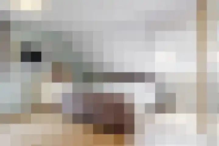 Veranda 9 Hoorn thumbnail 12