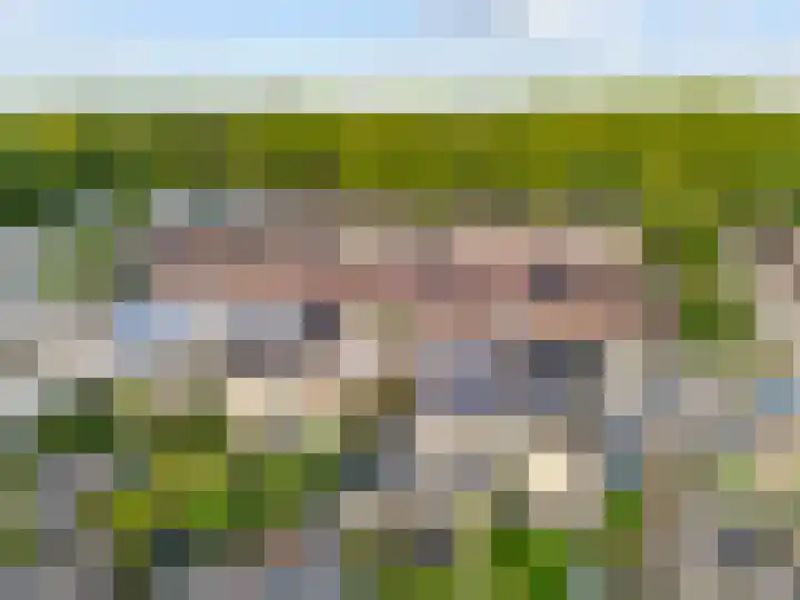 Veranda 9 Hoorn thumbnail 21