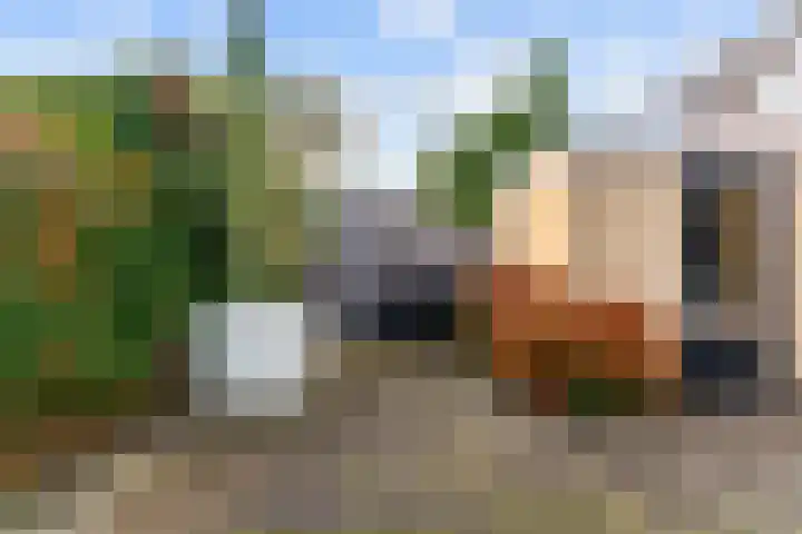 Veranda 9 Hoorn thumbnail 26
