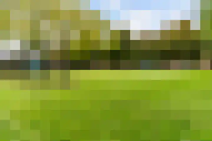 Veranda 9 Hoorn thumbnail 29