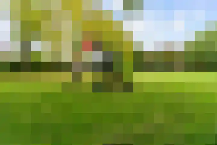 Veranda 9 Hoorn thumbnail 30