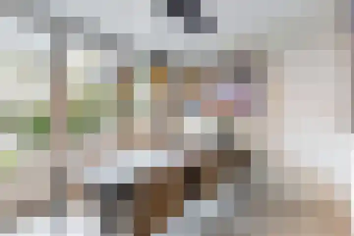 Veranda 9 Hoorn thumbnail 4