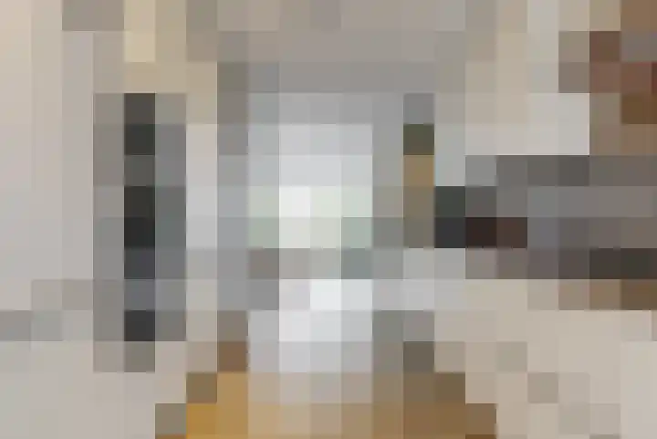 Veranda 9 Hoorn thumbnail 6