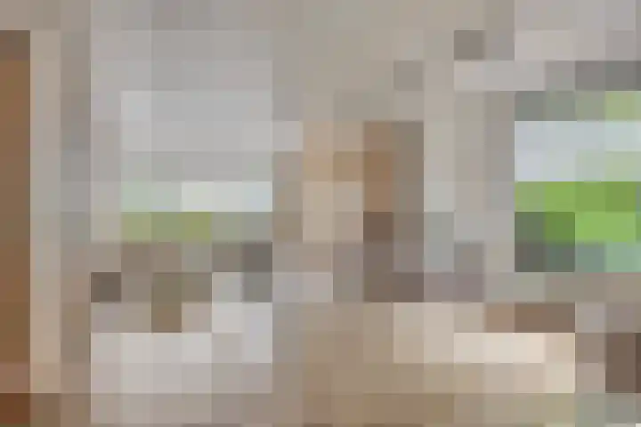 Verbeeklaan 9 Eindhoven thumbnail 11