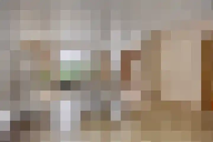 Verbeeklaan 9 Eindhoven thumbnail 13