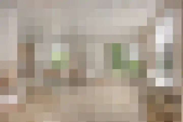 Verbeeklaan 9 Eindhoven thumbnail 15